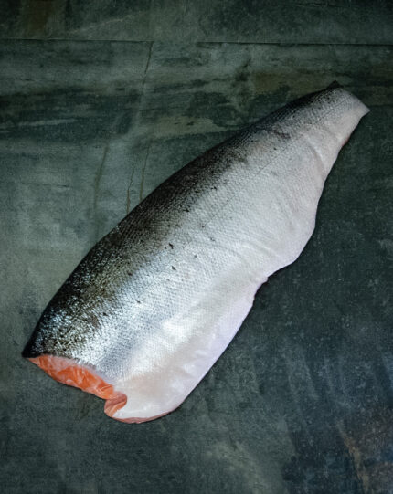 Lachsfilet | Norwegen | frisch