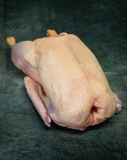 Gans in Extra-Qualität aus Pommern: Ein Fest der Tradition, Qualität und des Geschmacks