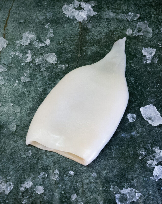 Tintenfisch Tuben ganz