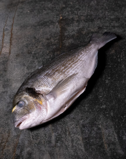 Ganze Dorade Royal | Qualität aus der Türkei